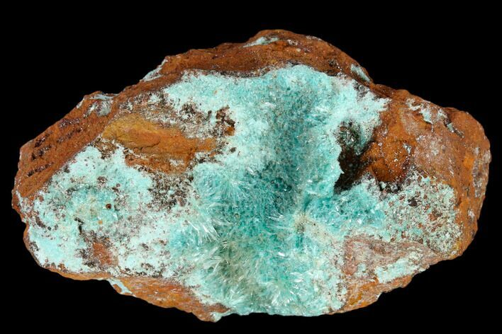 Fibrous Aurichalcite Crystal Cluster - Mexico #119148